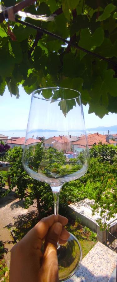 Niksa Leilighet Rijeka Eksteriør bilde